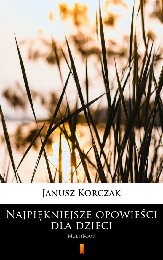 Najpi�kniejsze opowie�ci dla dzieci. MultiBook