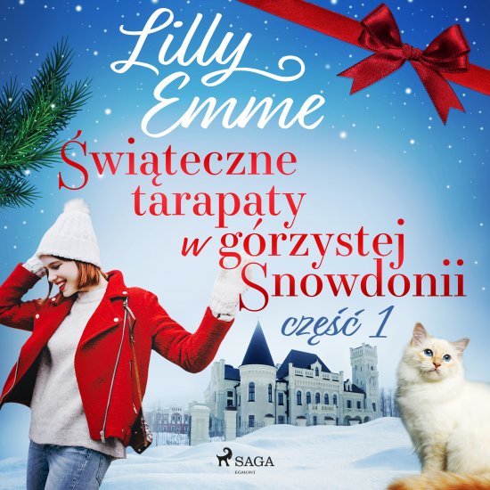 �wi�teczne tarapaty w g�rzystej Snowdonii - cz�� 1