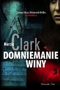 Domniemanie winy