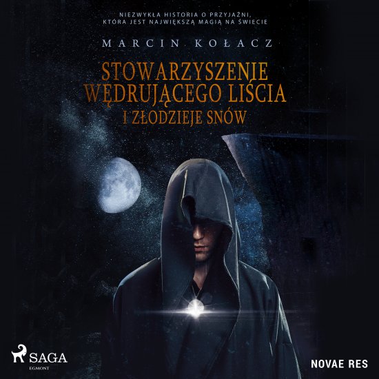 Stowarzyszenie w�druj�cego li�cia i z�odzieje sn�w