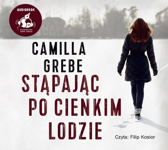 St�paj�c po cienkim lodzie