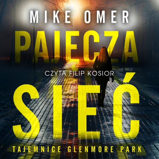 Paj�cza sie�