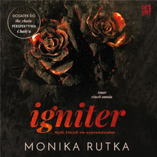 Igniter. My�li, kt�rych nie wypowiedzia�em