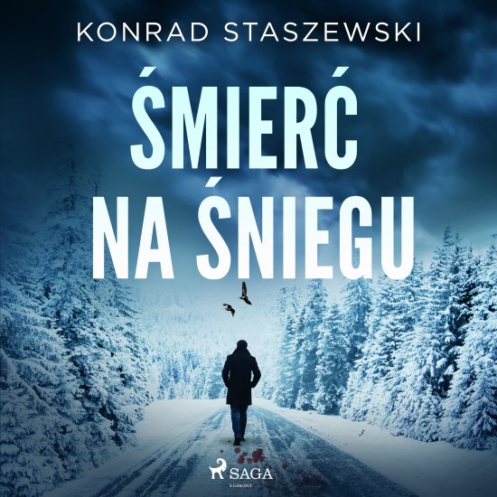 �mier� na �niegu
