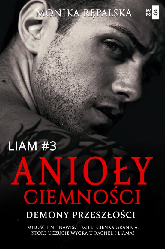 Anio�y ciemno�ci. Demony przesz�o�ci. Liam #3