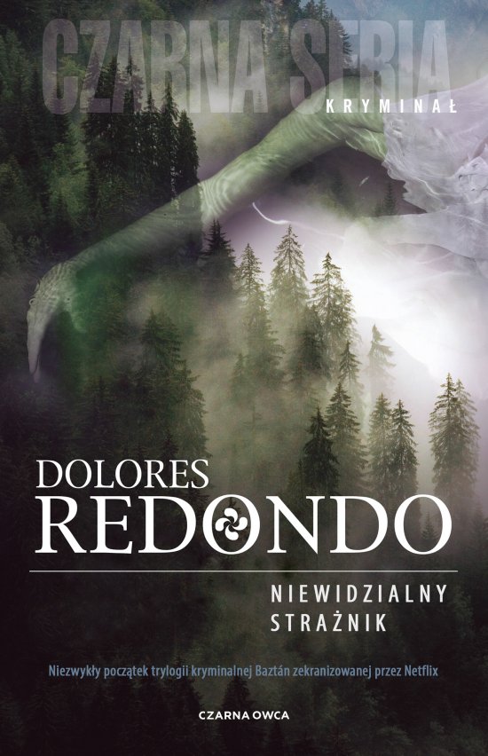 Niewidzialny stra�nik