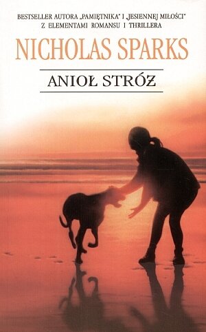 Anio� str� (seria Literka)