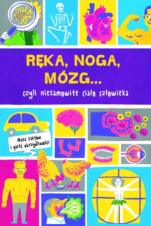 R�ka, noga, m�zg... czyli niesamowite cia�o cz�owieka