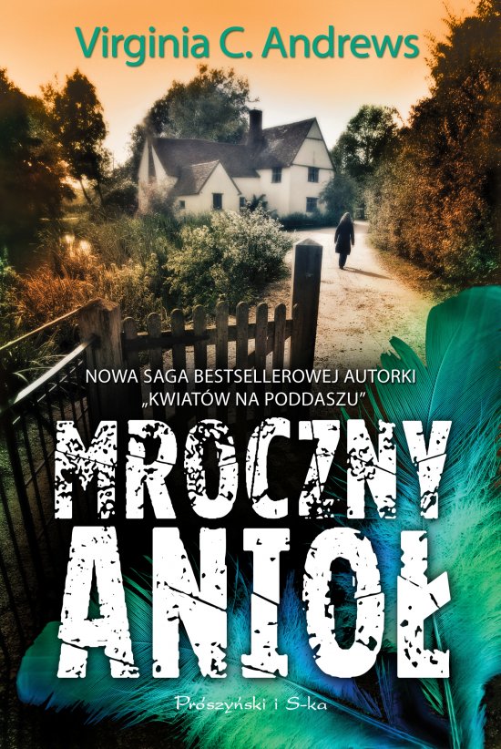 Mroczny anio�