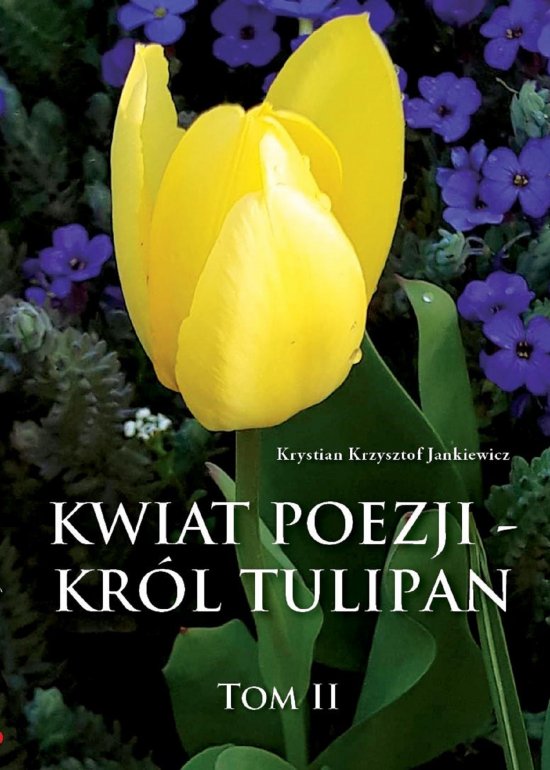 Kwiat poezji - kr�l tulipan