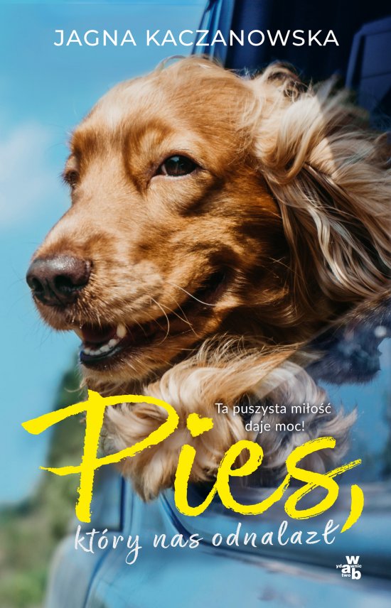 Pies, kt�ry nas odnalaz�