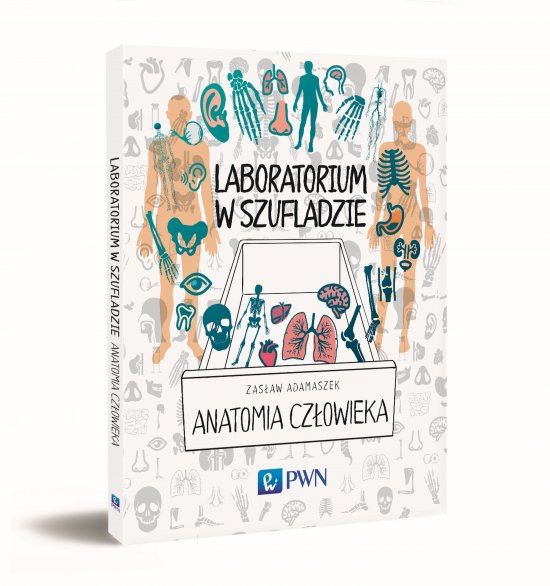 Laboratorium w szufladzie. Anatomia cz�owieka
