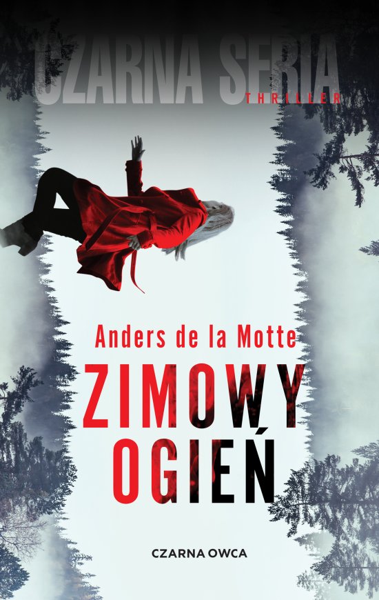 Zimowy ogie�