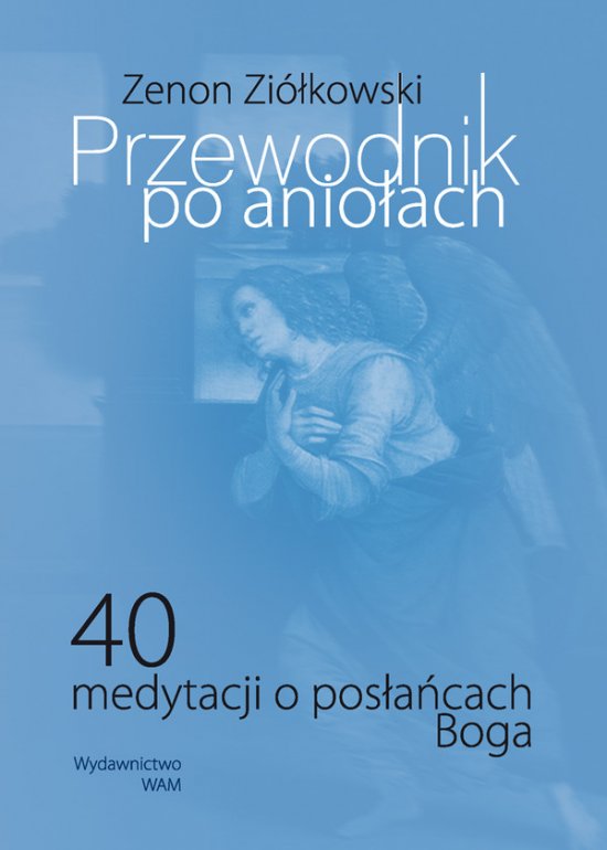 Przewodnik po anio�ach. 40 medytacji o pos�a�cach Boga