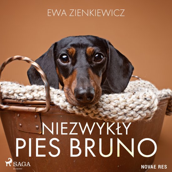 Niezwyk�y pies Bruno