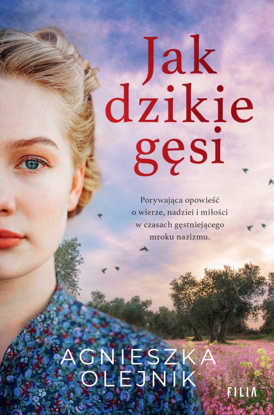 Jak dzikie g�si