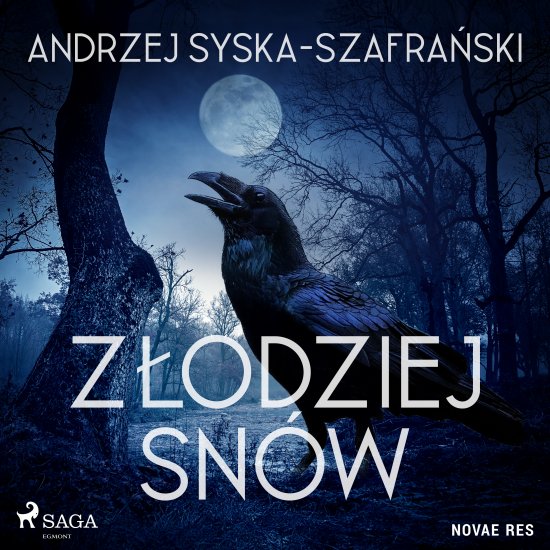 Z�odziej sn�w