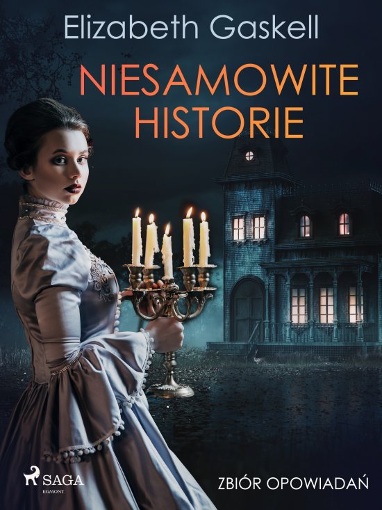 Niesamowite historie. Zbi�r opowiada�
