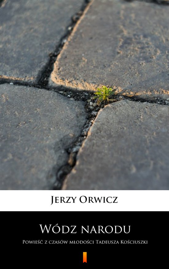 W�dz narodu. Powie�� z czas�w m�odo�ci Tadeusza Ko�ciuszki