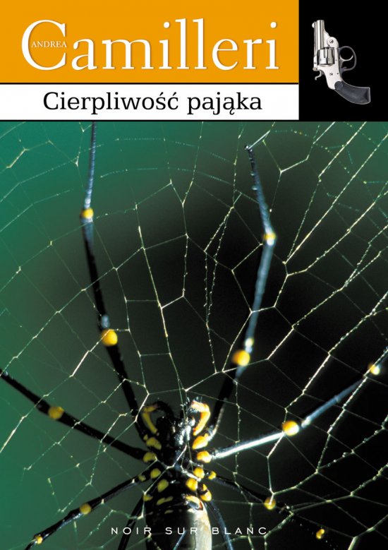 Cierpliwo�� paj�ka