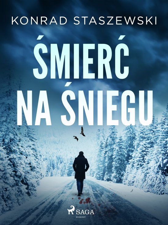 �mier� na �niegu