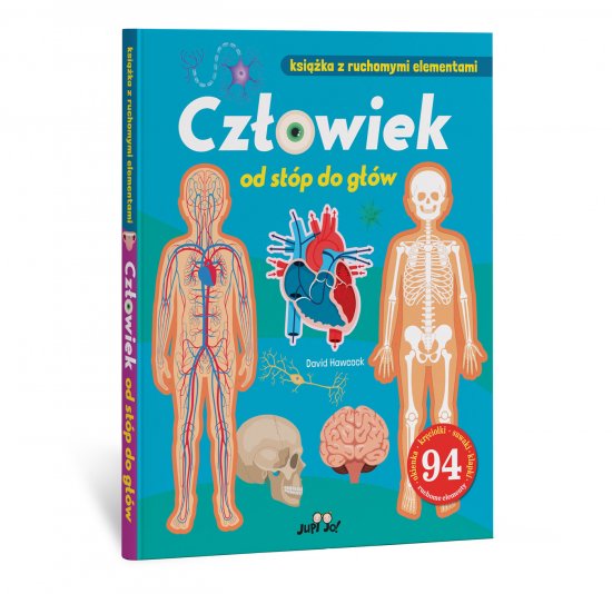 Cz�owiek od st�p do g��w. Ksi��ka z ruchomymi elementami
