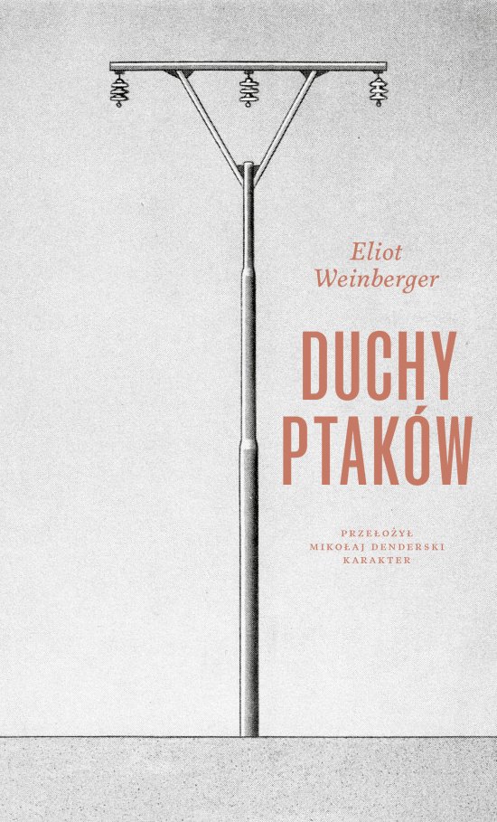 Duchy ptak�w
