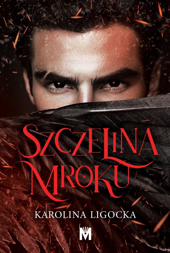 Szczelina mroku