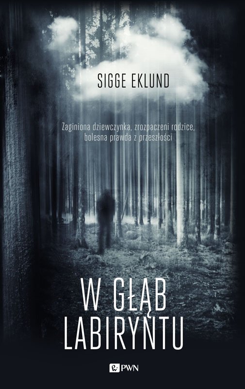 W g��b labiryntu