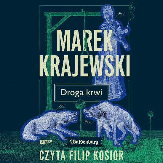 Droga krwi
