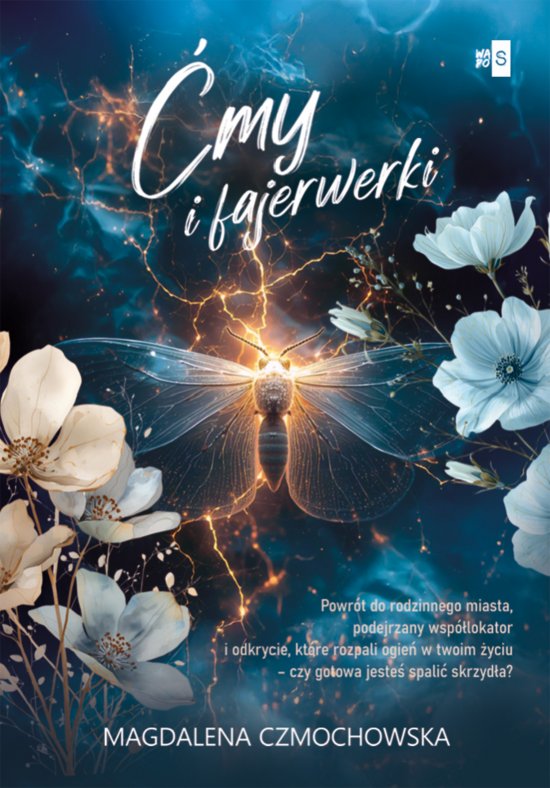 �my i fajerwerki