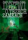 Drzwi o trzech zamkach