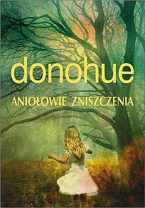Anio�owie zniszczenia