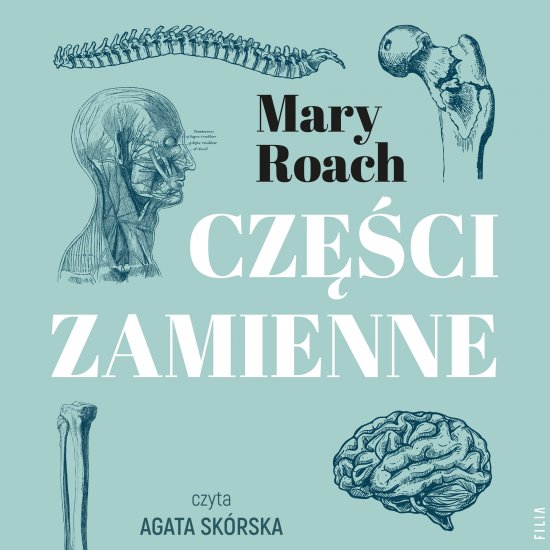 Cz�ci zamienne. Co wsp�czesna medycyna potrafi zrobi� z ludzkim cia�em
