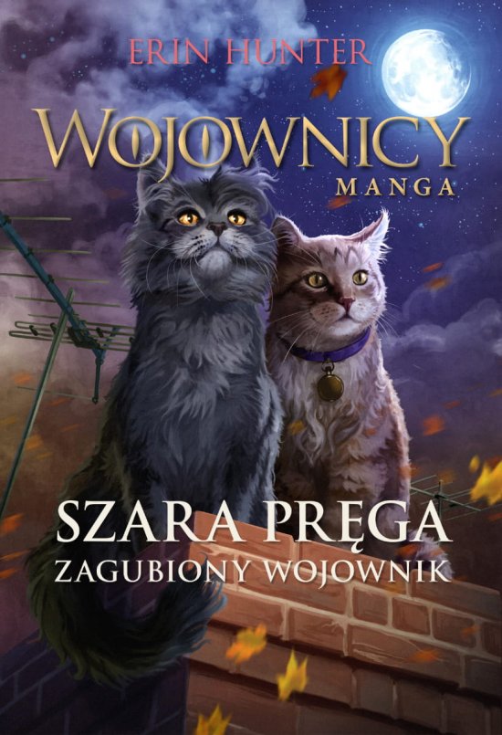 Szara Pr�ga. Zagubiony wojownik