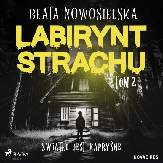 Labirynt strachu. Tom 2. �wiat�o jest kapry�ne