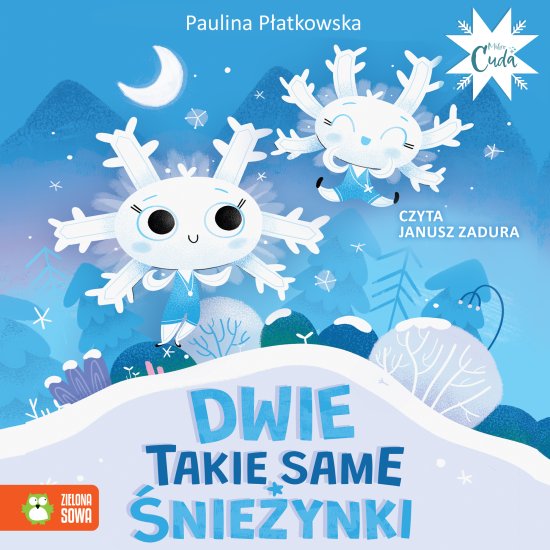 Dwie takie same �nie�ynki
