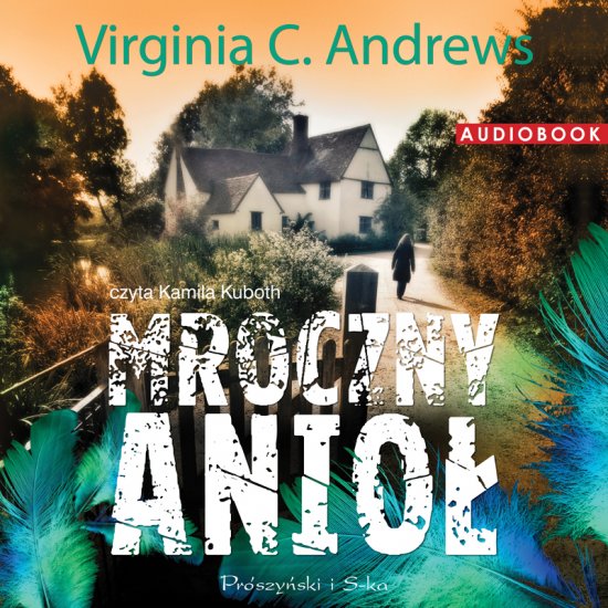 Mroczny anio�