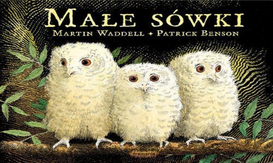 Ma�e s�wki