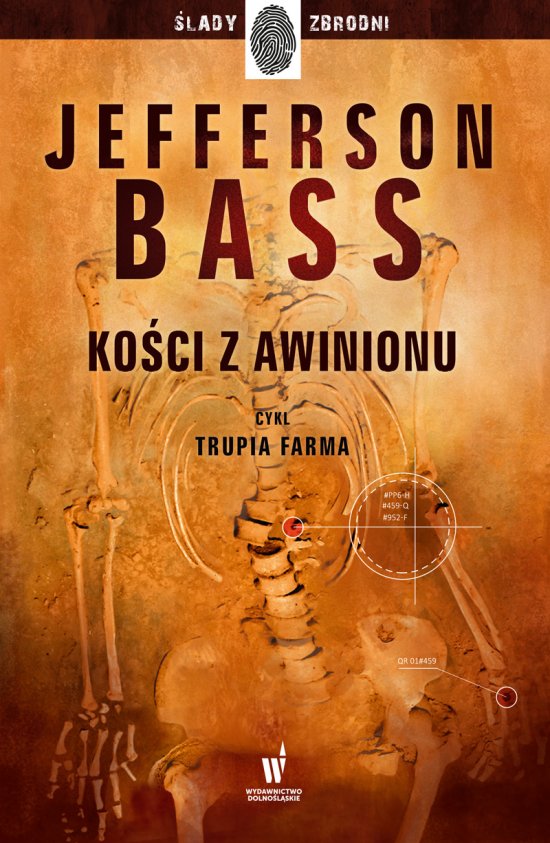 Ko�ci z Awinionu