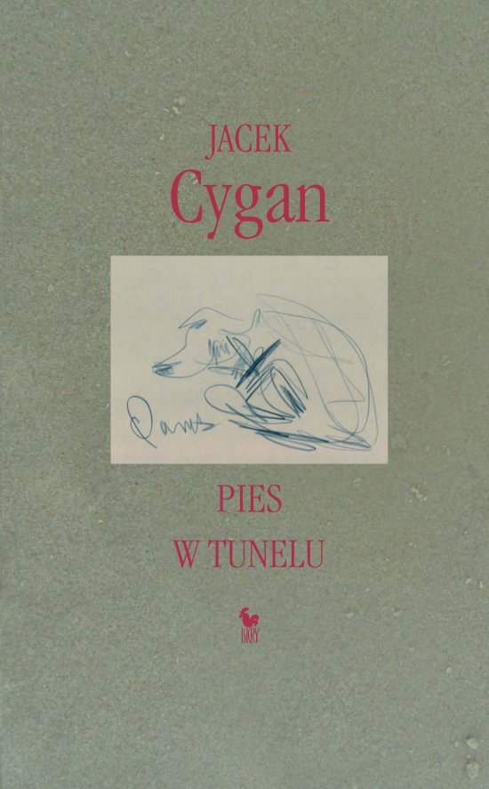 Pies w tunelu