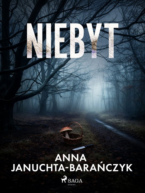 Niebyt