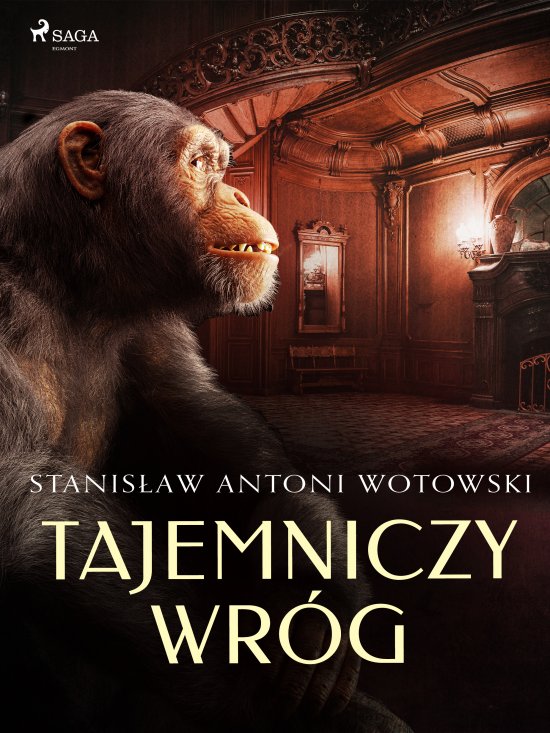 Tajemniczy wr�g