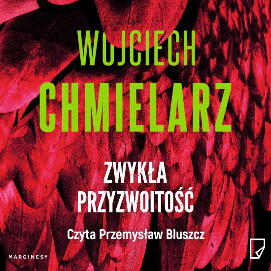 Zwyk�a przyzwoito��