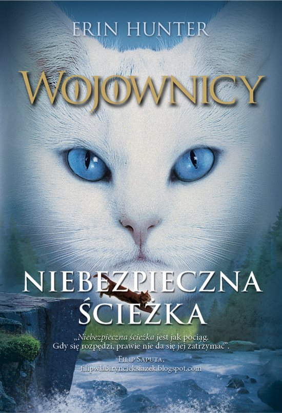 Niebezpieczna �cie�ka, Wojownicy, Tom V