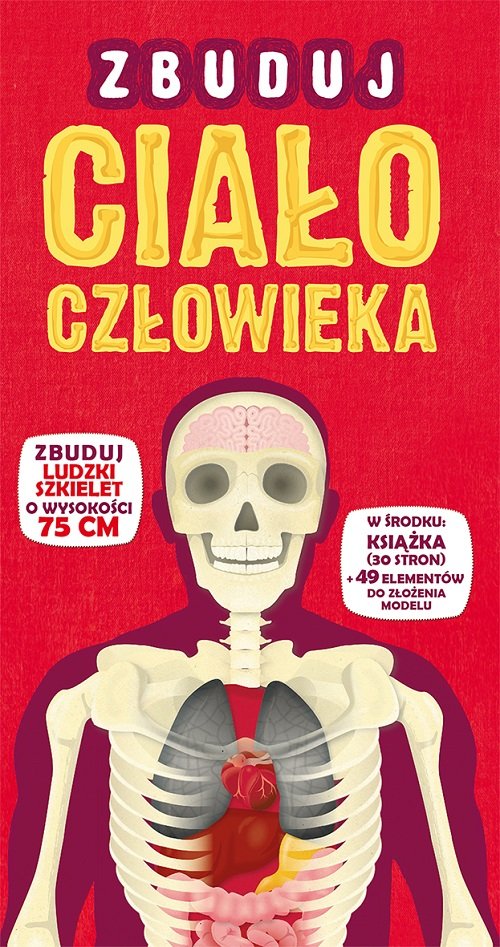 Zbuduj cia�o cz�owieka