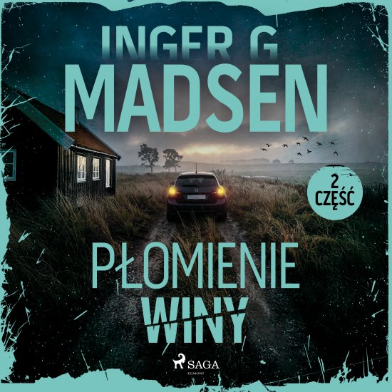 P�omienie winy: cz�� 2