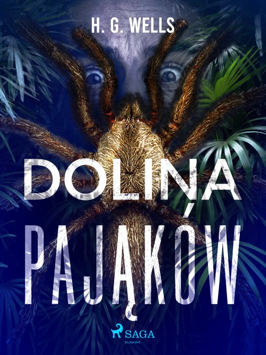Dolina paj�k�w