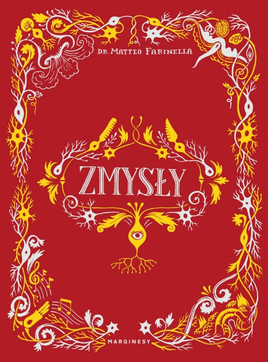 Zmys�y