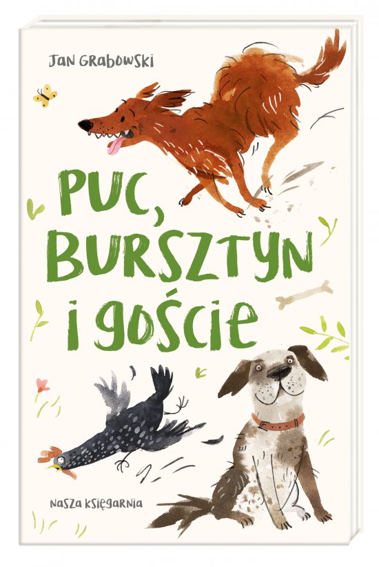 Puc, Bursztyn i go�cie